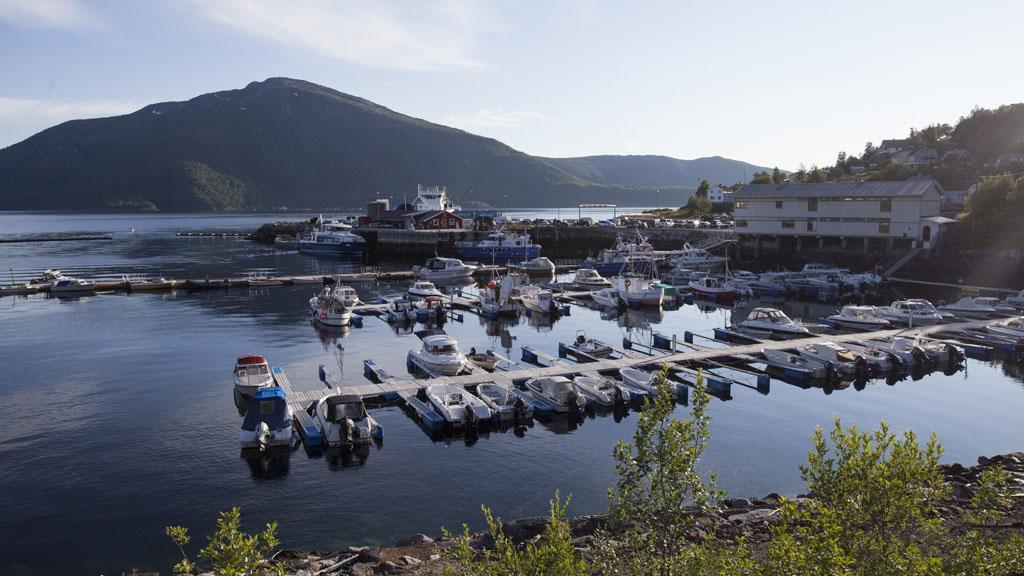 Stetind Hotel Kjøpsvik Exteriör bild